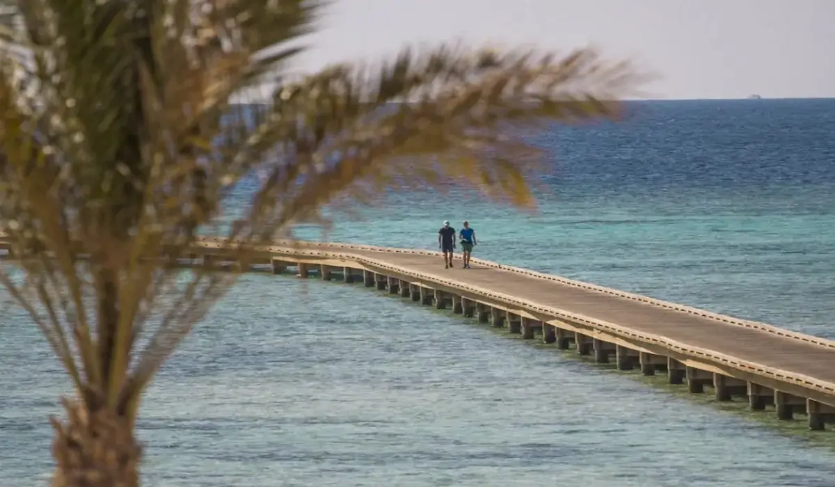 Somabay real estate
