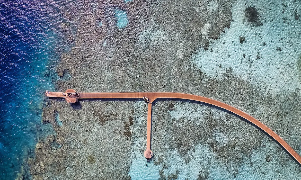 1170
