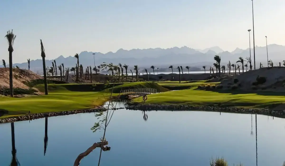 Somabay real estate